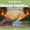 Catch 22 - Dinosaur Sounds