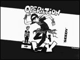 Operation Ivy